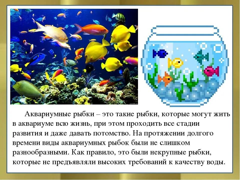 Рассказ рыбки в аквариуме. Стихи про рыб. Презентация аквариумные рыбы для дошкольников. Меченосец аквариумная рыбка содержание. Рассказ рыбки в аквариуме.