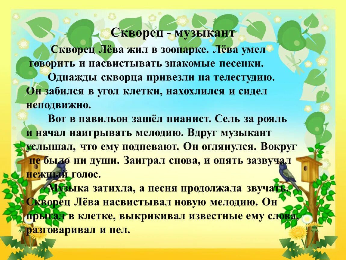 Скворец музыкант. Скворец лева изложение 3 класс. изложение 3 класс по русскому скворец лева. скворец лева изложение 3 класс план. скворец музыкант текст.
