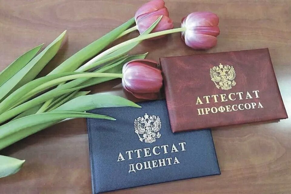 11 положения о присуждении ученых степеней. Удостоверение кандидата наук. Ученая степень кандидата педагогических наук. Вак высшая аттестационная комиссия. Вак высшая аттестационная комиссия.