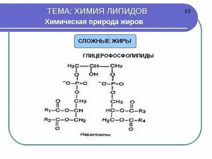 Липид профиль