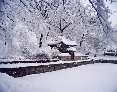 Корейский зимний