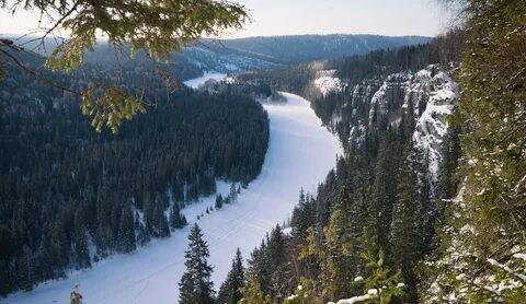 Тайга пермь