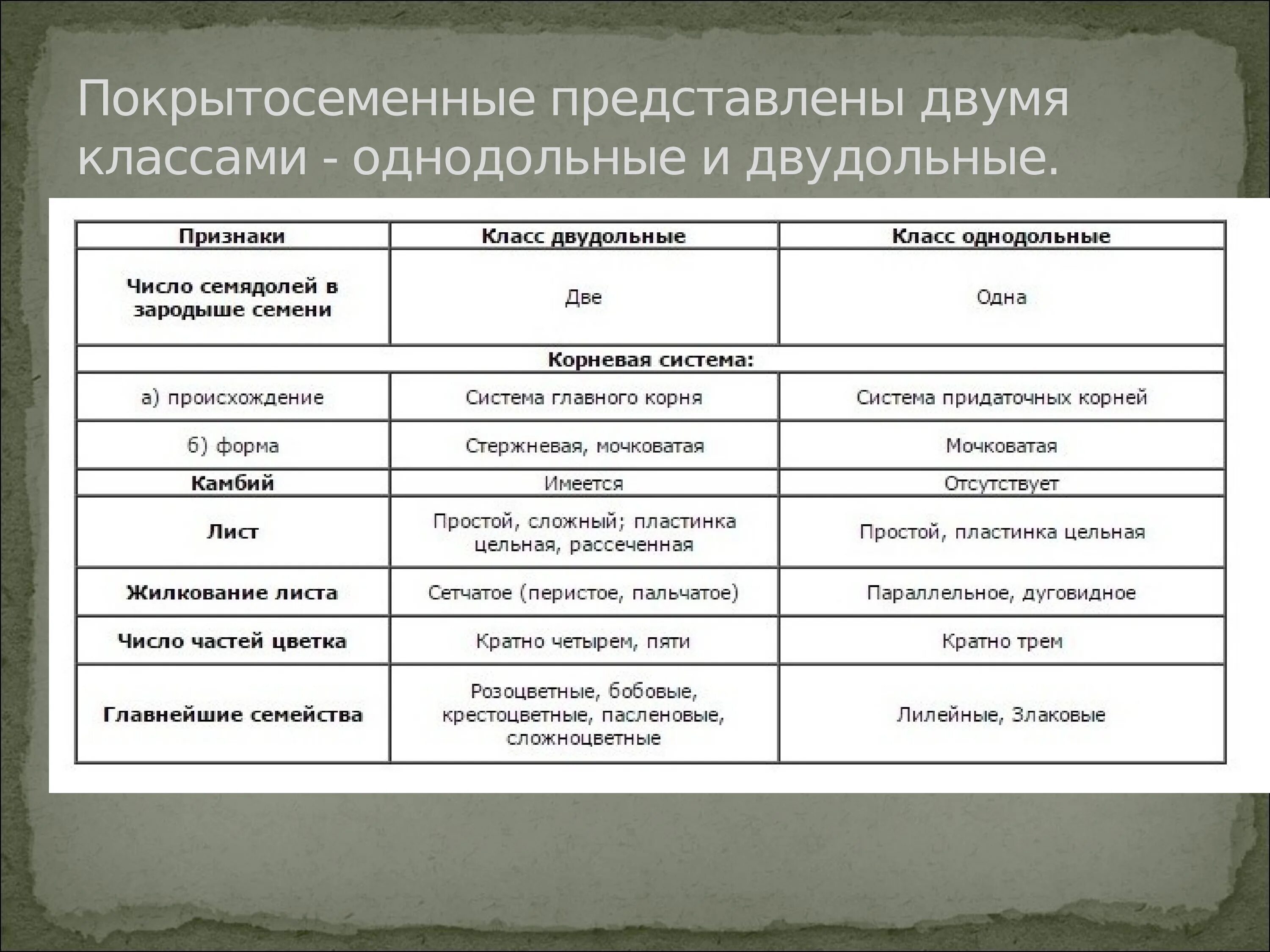 Основные классы покрытосеменных. Таблица семейства однодольных и двудольных. Семейства однодольных и двудольных растений таблица. Таблица классы покрытосеменных растений Однодольные и двудольные. Классификация покрытосеменных 6.