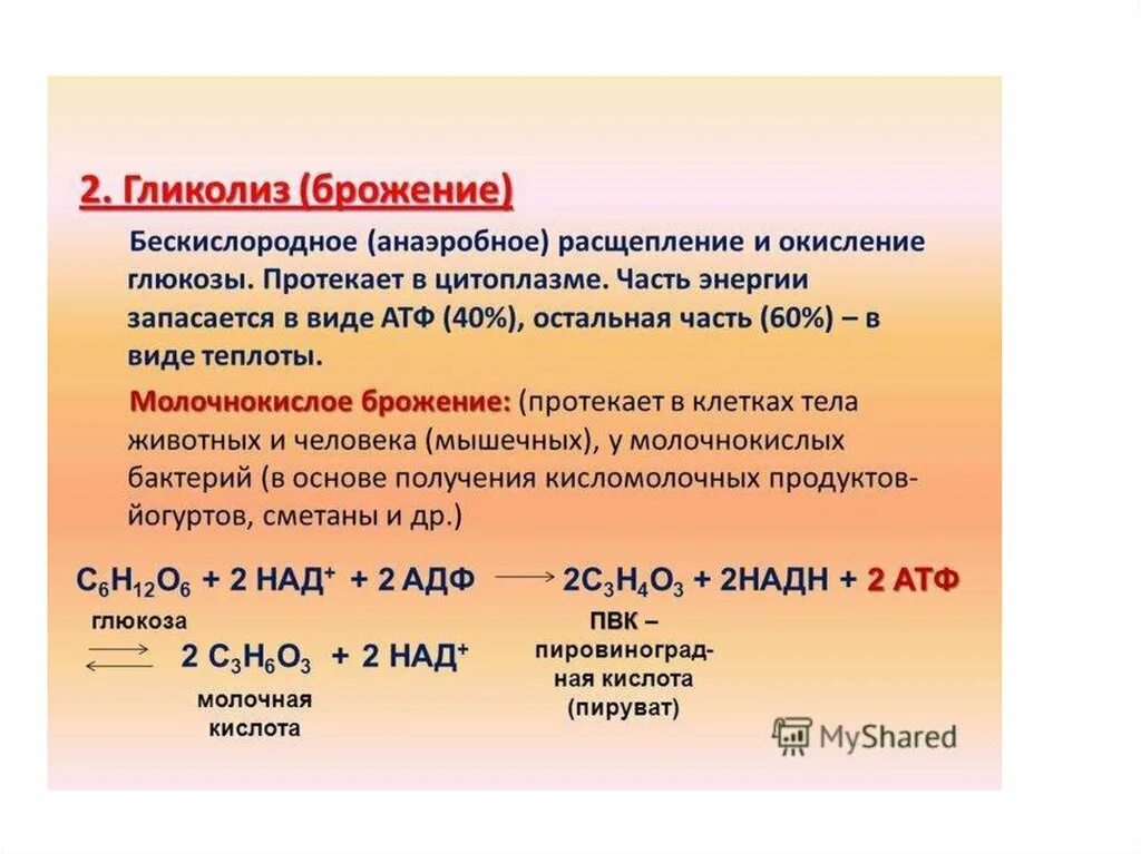 Уравнения реакций распада. Гликолиз бескислородный этап молочнокислое брожение. Формула бескислородного расщепления Глюкозы. Бескислородный этап энергетического обмена реакция. Этапы энергетического обмена гликолиз.