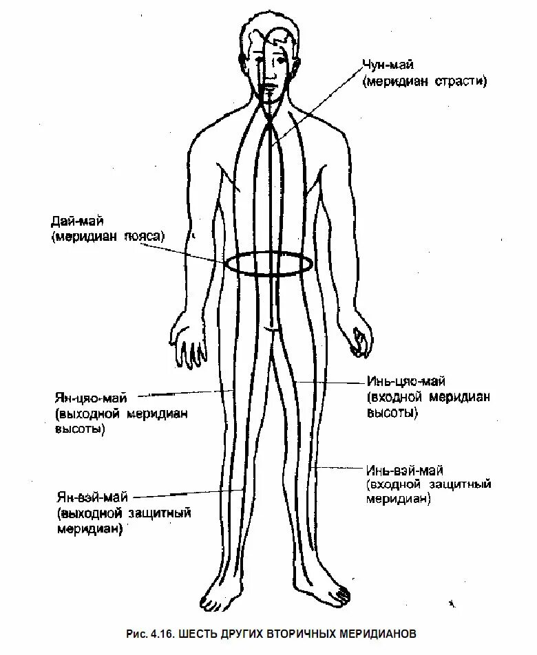 Каналы китайской медицины. Схема меридианов цигун. Энергетические каналы и меридианы человека схема и направления. Схема энергетических меридианов. Чудесные меридианы человека схема и направления китайская.