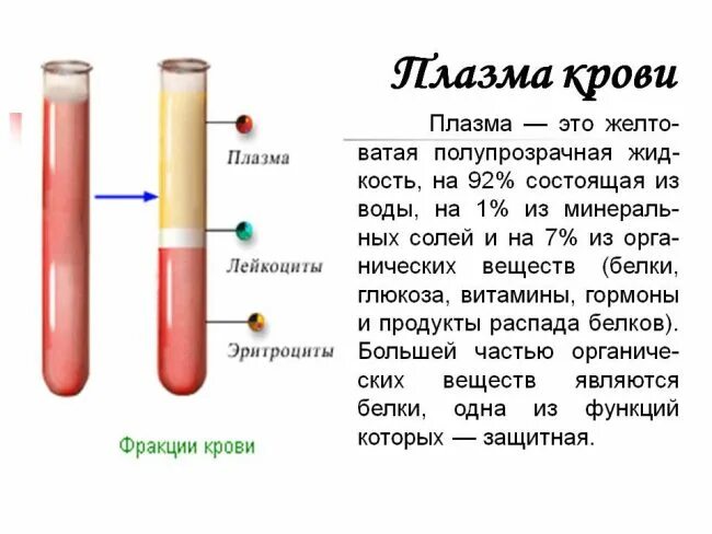 Глюкоза в сыворотке или плазме крови