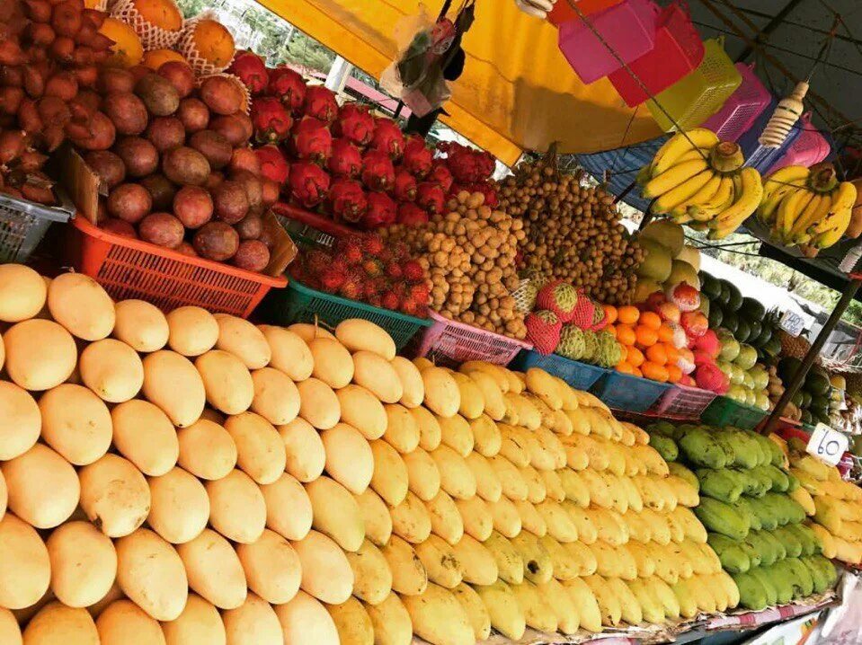 Перевозка фруктов из тайланда. Паттайя фрукт. Фрукты в Паттайе по месяцам. Патайя или Паттайя фрукт. Паттайя фрукт фото.