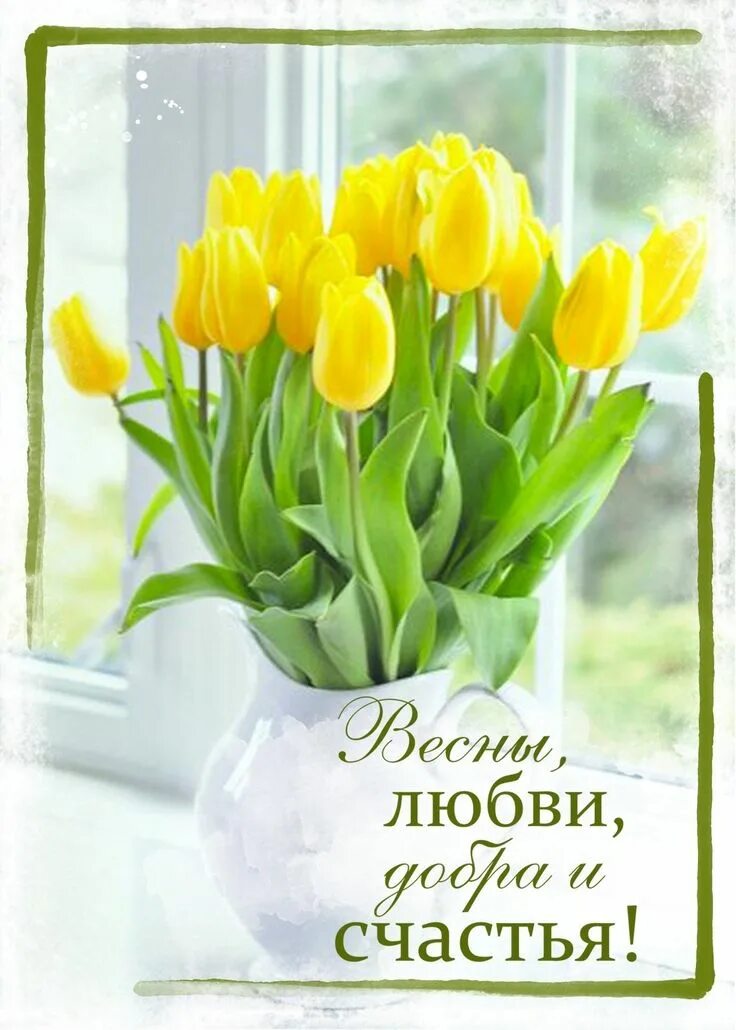 Доброе весеннее утро с тюльпанами. Тюльпаны на окне. Весенний букет тюльпанов. Весеннее утро.