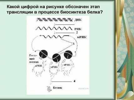 Матрица в трансляции рисунок