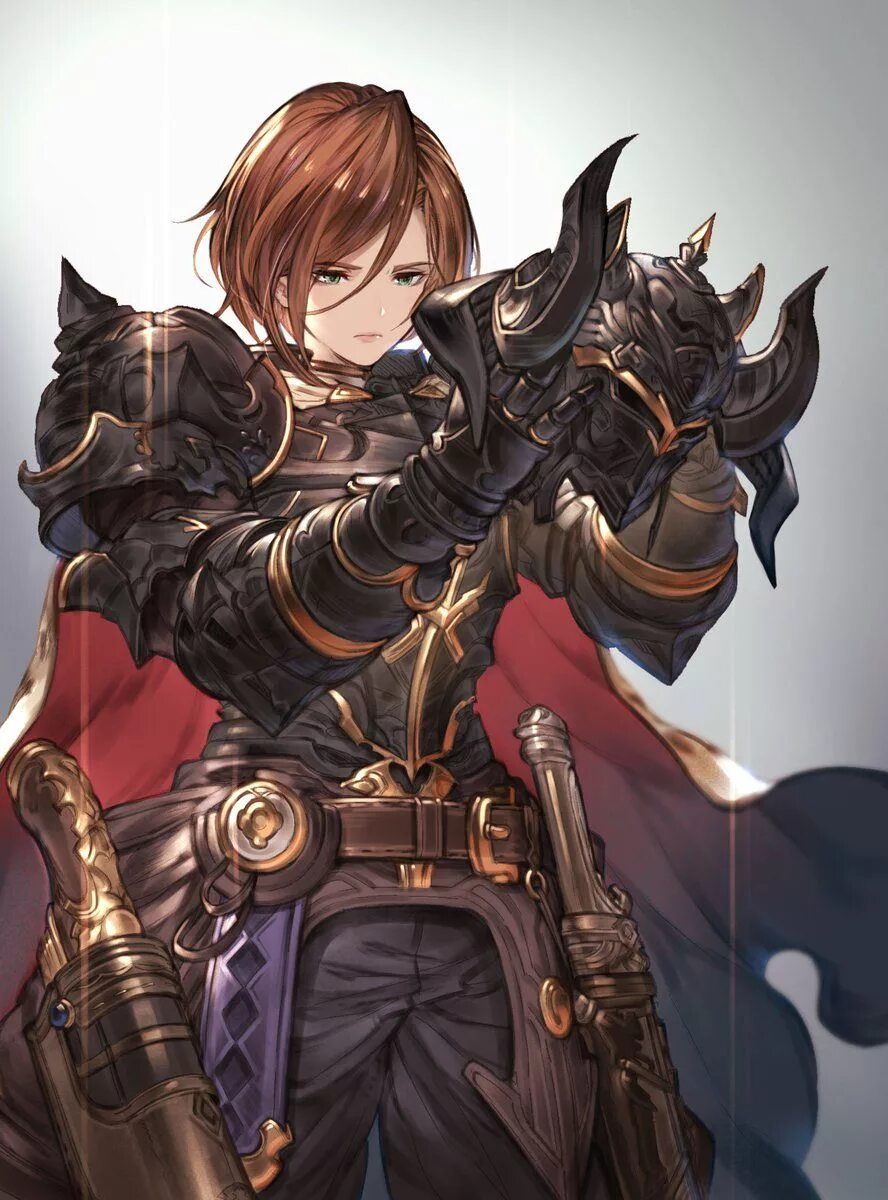Knight reader