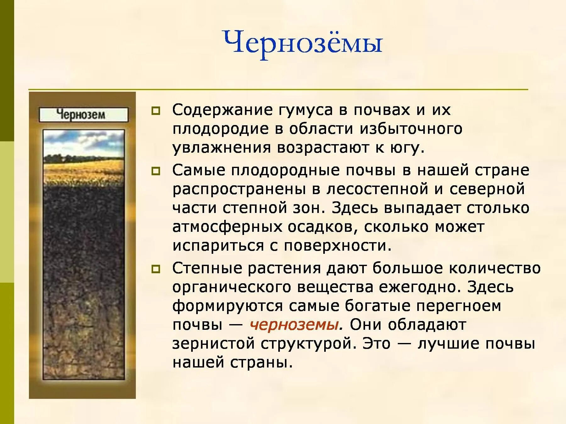 Почвы и их плодородность. Черноземная почва серая лесная почва. Почва в зоне степей. Это самые лучшие почвы нашей страны. Самые плодородные почвы.