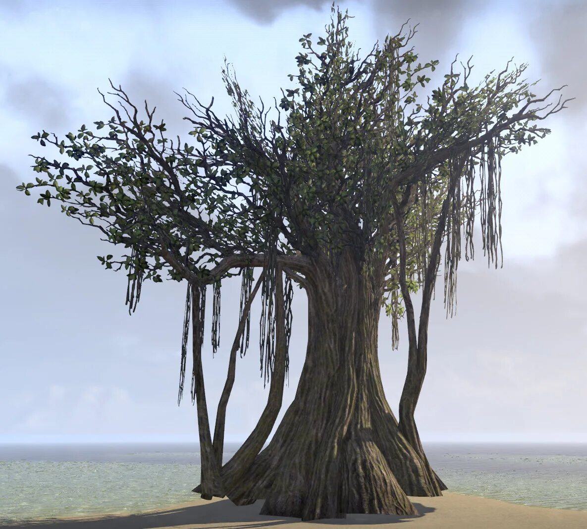 Ancient trees. Аль ула banyan tree. баньян в мифологии. bayan ancient tree. дерево source.