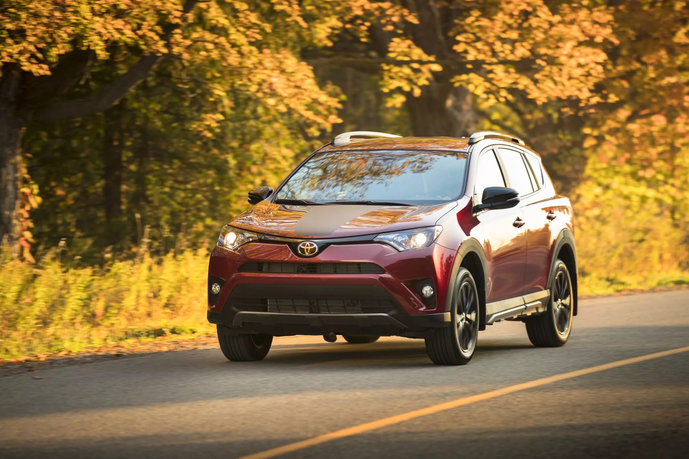 Бесплатные рав. Тойота рав 4 красная. тойота рав 4 2018. тойота рав 4 2017. toyota rav4 2018 le.