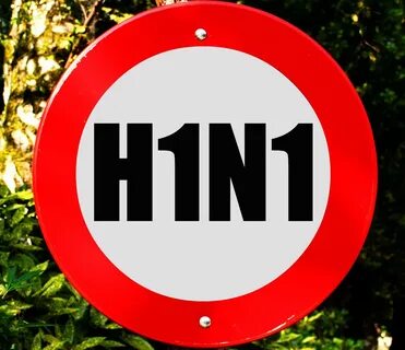 H 1 n 1