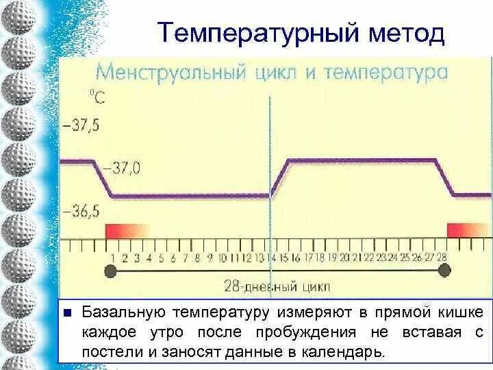 Как измерить базальную