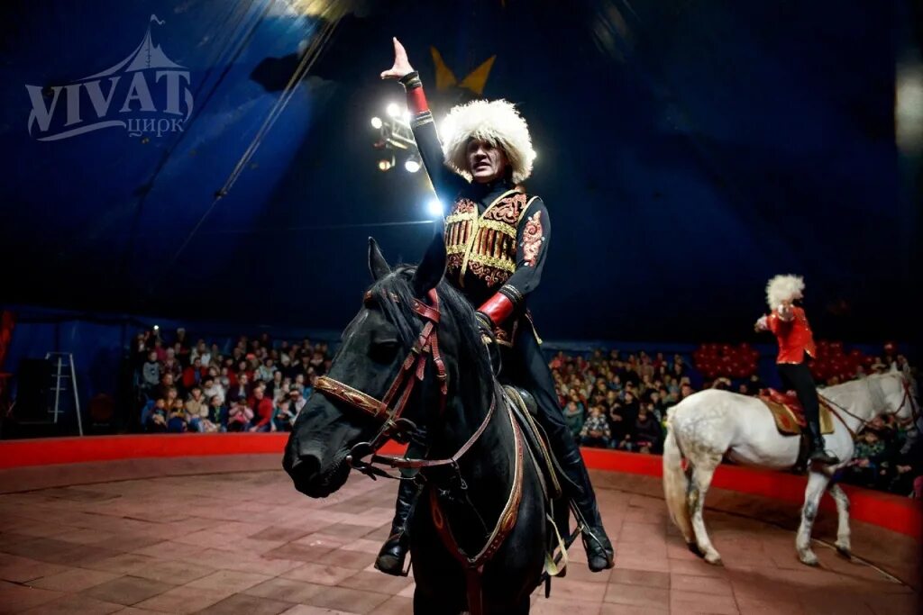 Цирк шапито виват афиша. Цирковой по составу. Цирк шапито виват в стерлитамаке. Билет в парк аттракционов. Анна левина цирк эквилибристка.