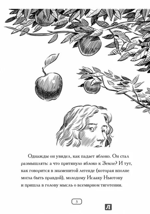 Стихотворение ночь упаданья яблок. Яблоко упало на голову Ньютону. Ньютон раскраска. Книга Ньютона.