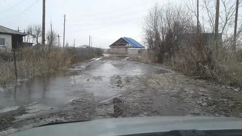 Погода золотуха