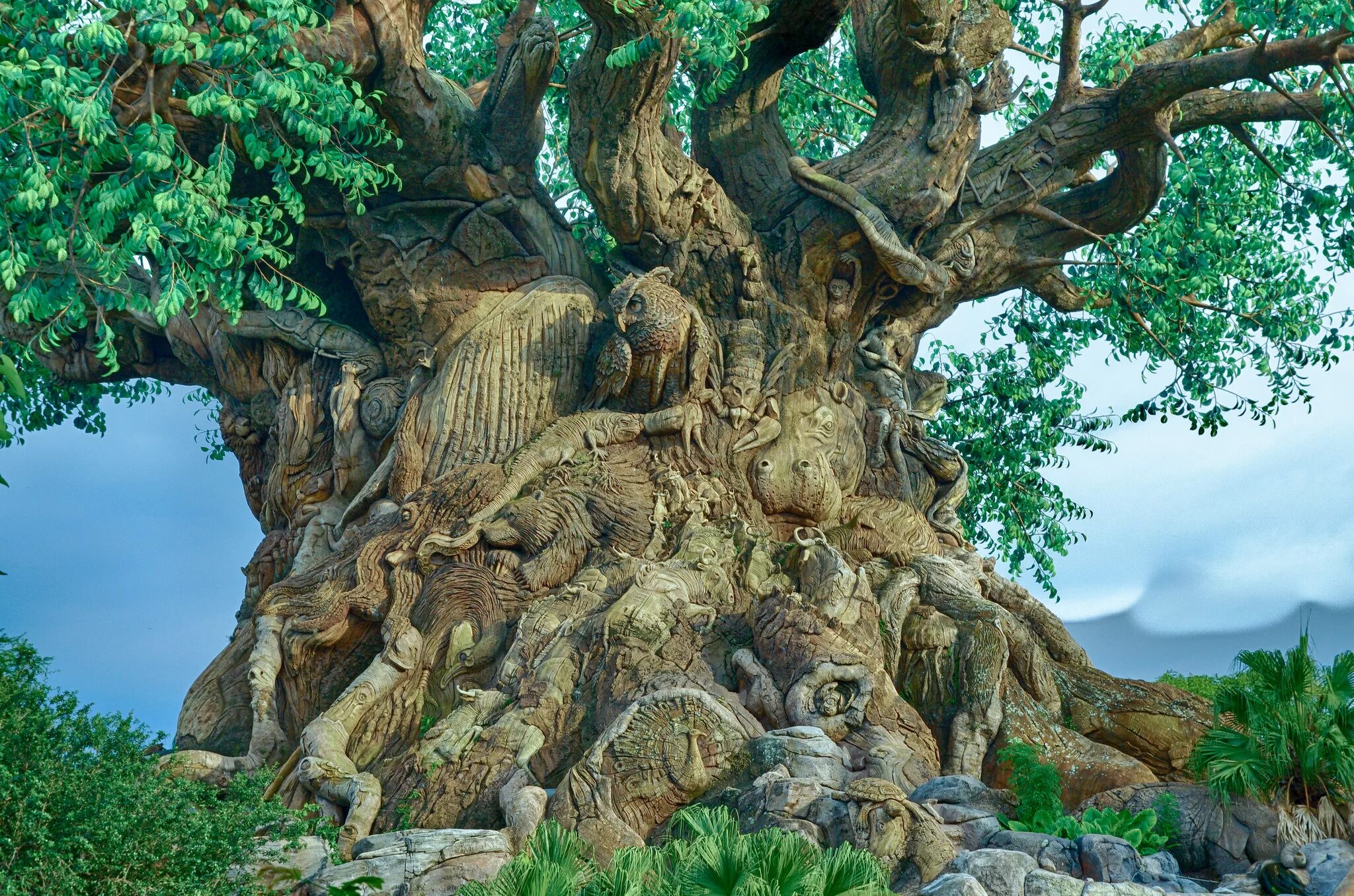 He tree