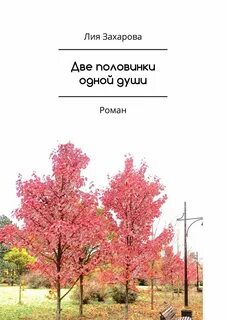 Книга 2 души