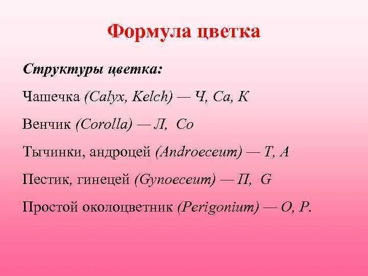 Ч5л5т бесконечность п бесконечность к какому. Формула цветка. Формулы цветов. Расшифровка формулы цветка. Примеры формул цветков.