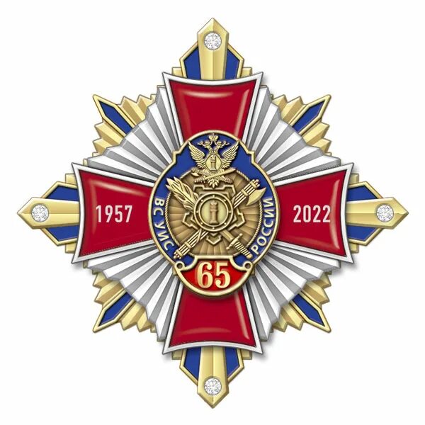 Значение уис. Нагрудный знак 65 лет уис россии. 65 лет воспитательной службе уис россии. медаль 65 лет воспитательной службе уис россии. день воспитательной службы уис.