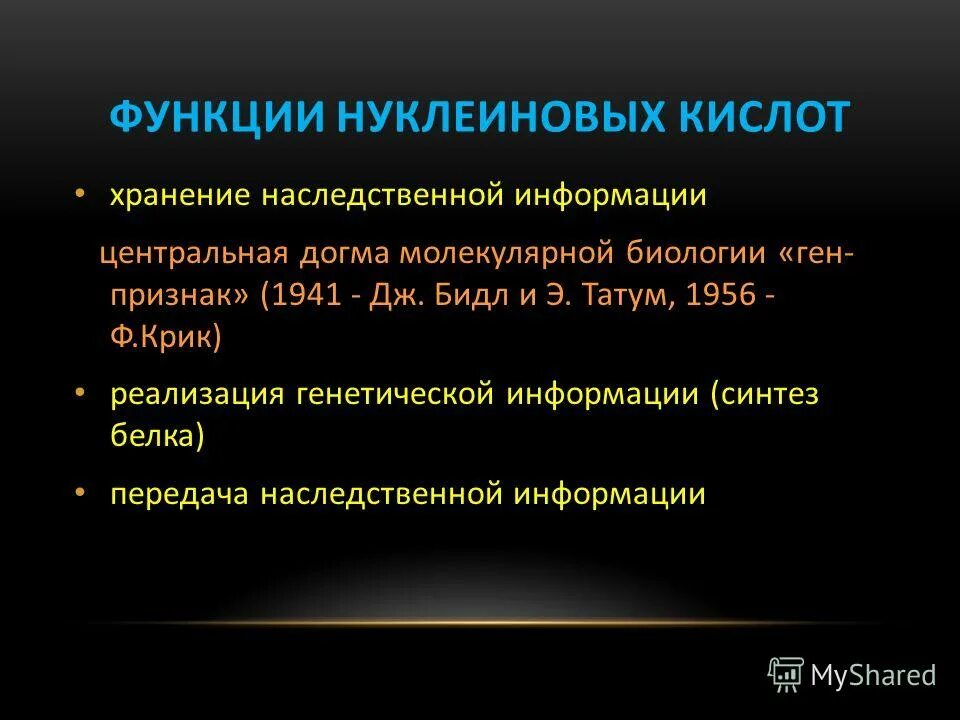 Строение и функции нуклеиновых