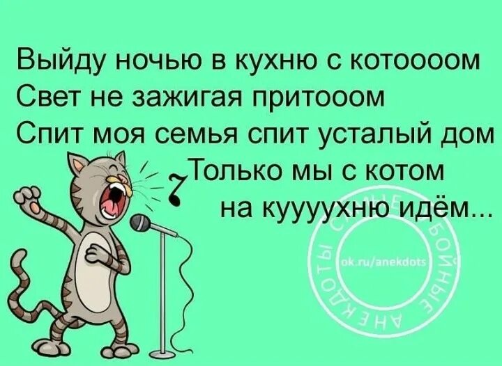 Выходим мы ночью выходим мы днем. Выйду ночью в кухню. Выйду ночью в кухню с котом текст. Выйду ночью в кухню с котом. Только мы с котом.