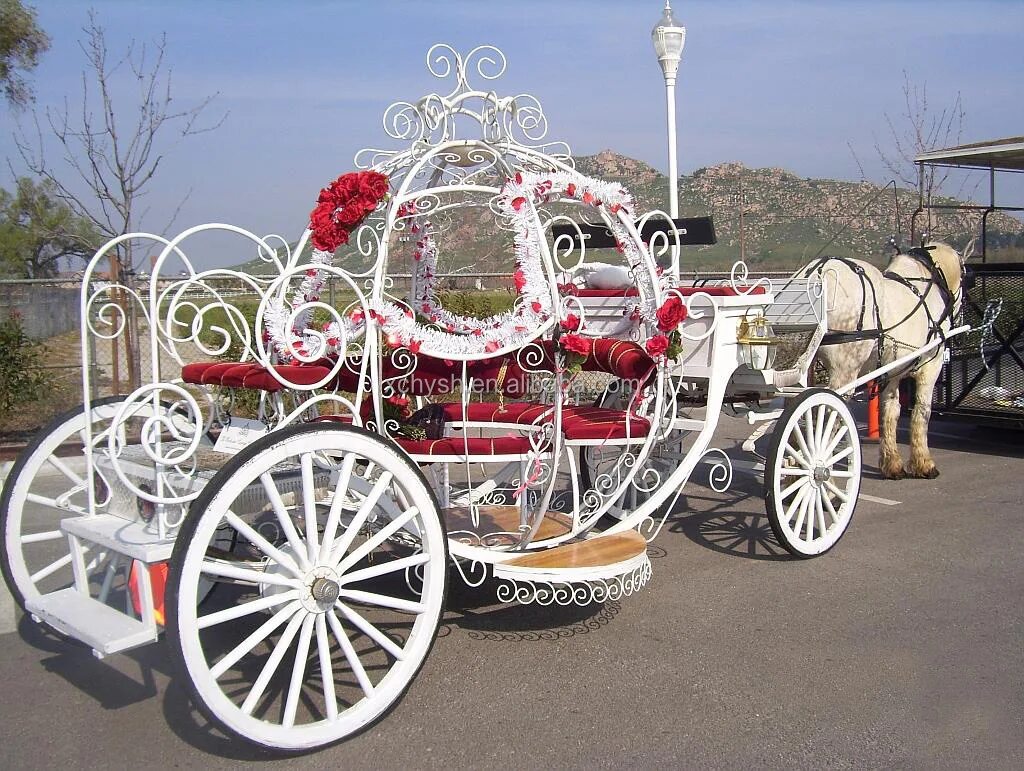 Ландо карета польская. Фаэтон карета. Карета для лошадей михаила казенкина. Карета. Карета.