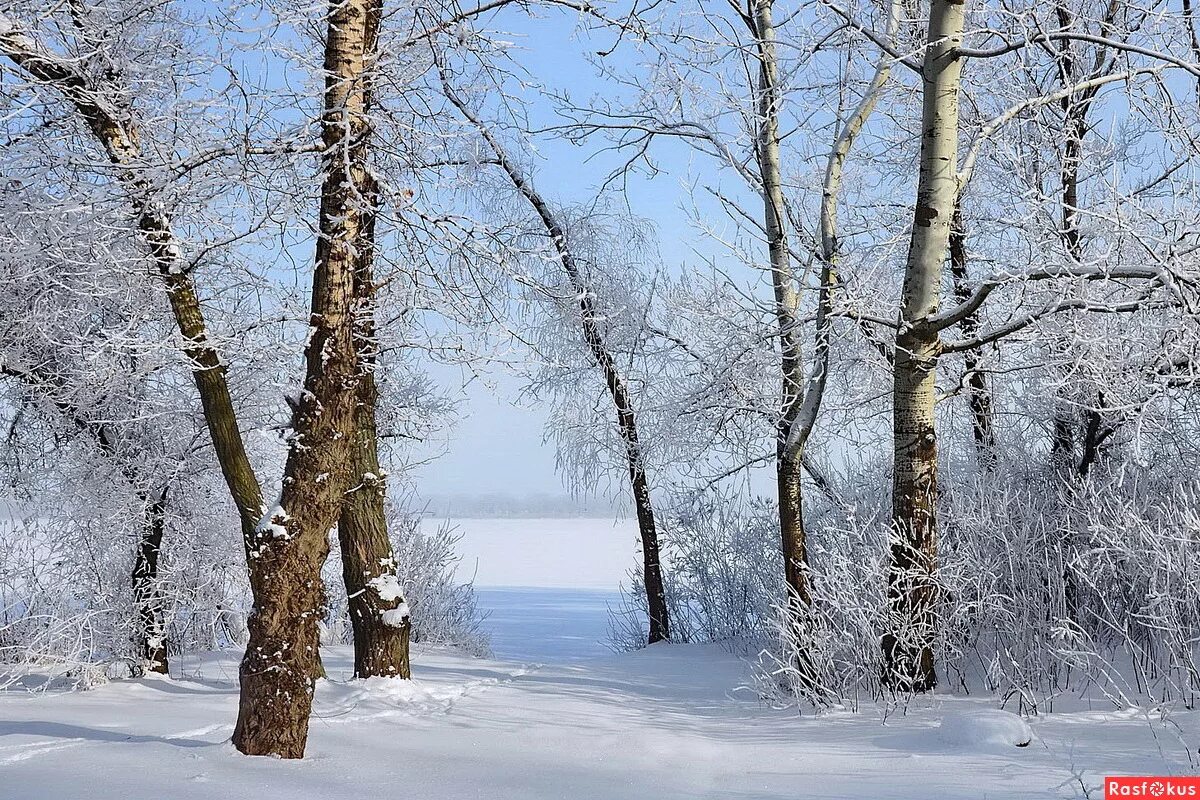 солнечный день зимой. морозный день. стоял ясный зимний. народный календарь приметы. туманное утро зимой в крыму.