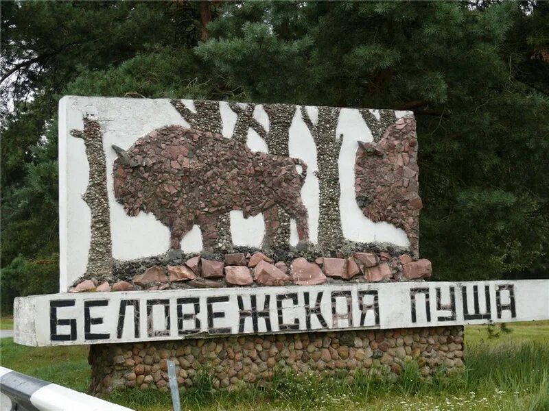 Беловежская пуща р34. Белоруссия беловежская пуща заповедник. Беловежская пуща р34. Парк беловежская пуща. Беловежская пуща р34.