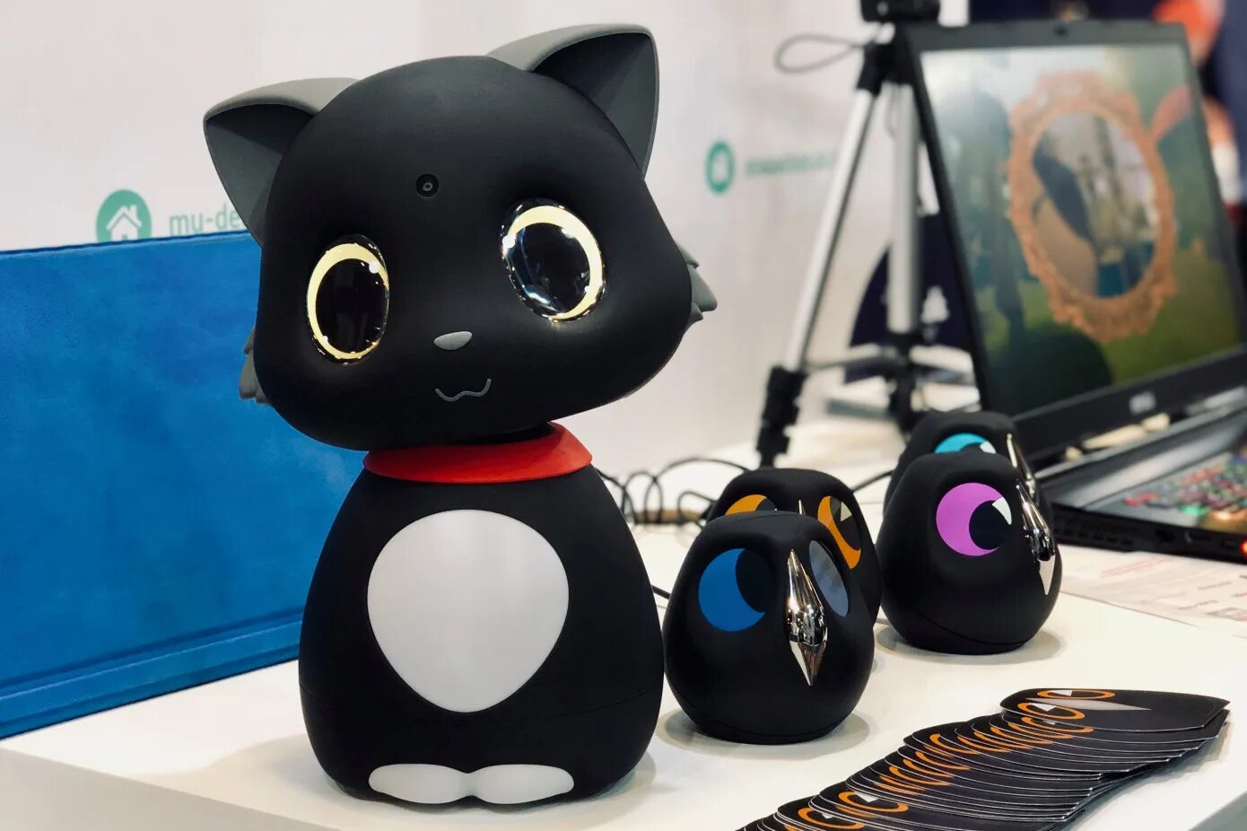 Робот кэт. Робокот marscat. робот «котёнок». роботизированный кот. робо коты.