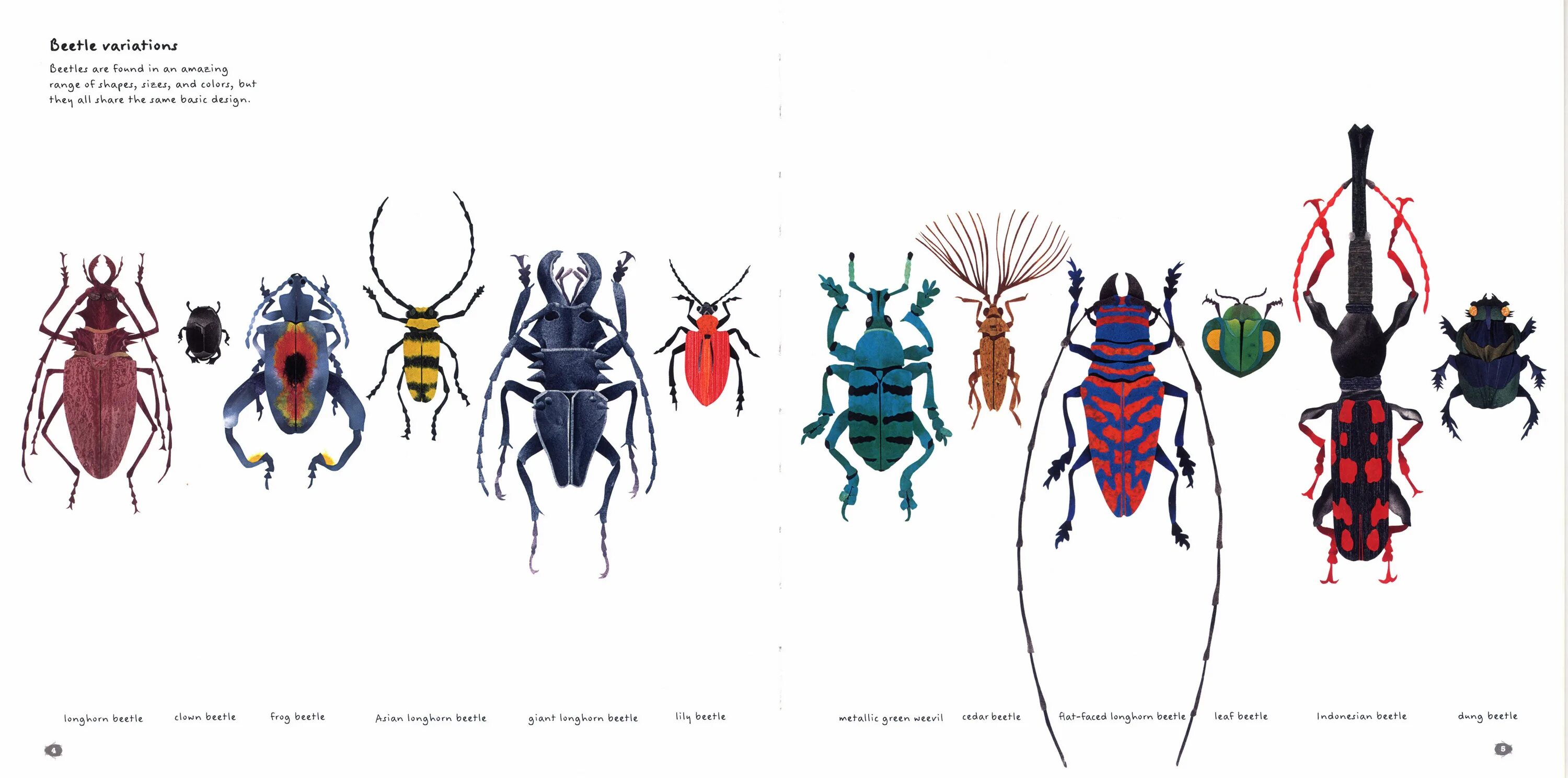 Название 1 жуков. Атлас определитель название Жуков 1 класс. Определитель насекомых для детей. Книга жуки. Жуки с названиями.