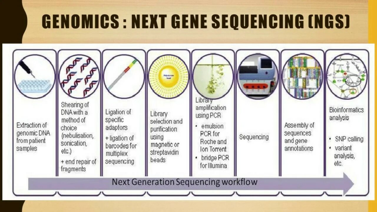 Секвенирование ДНК Illumina. Next Generation sequencing. NGS sequencing Illumina. Секвенирование MGI. Libs method