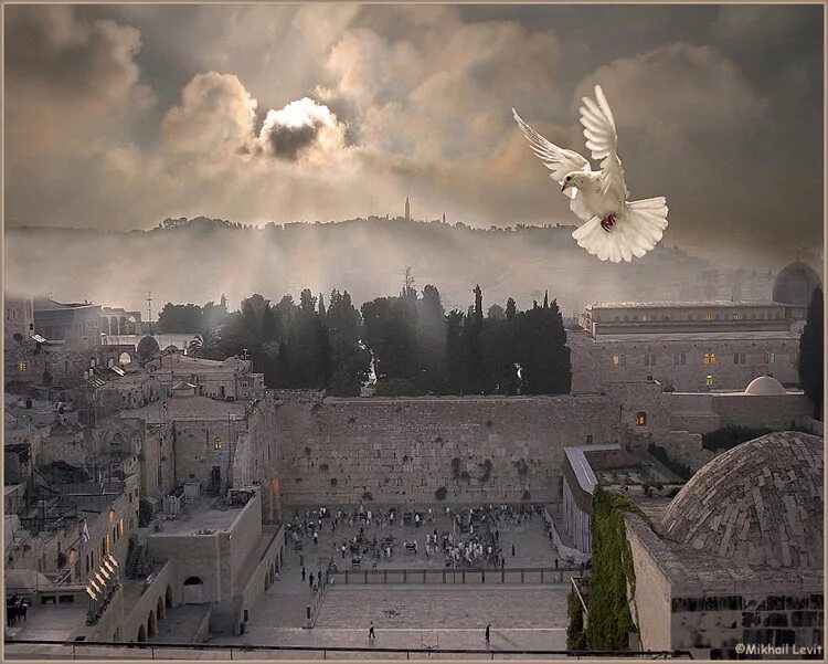 Город новый иерусалим из библии. Свет иерусалим. Иерусалим в библии. Иерусалим город бога. Иерусалим город бога.