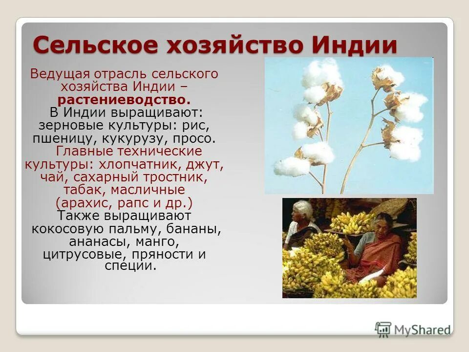 сельскохозяйственные культуры индии 5 класс история