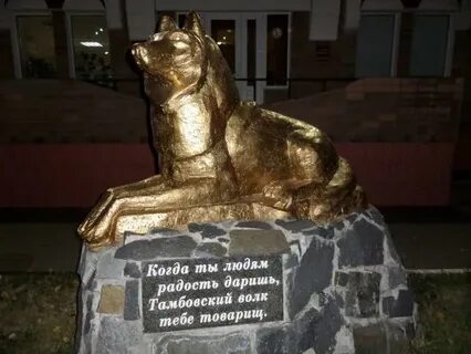 Почему говорят тамбовский волк тебе товарищ