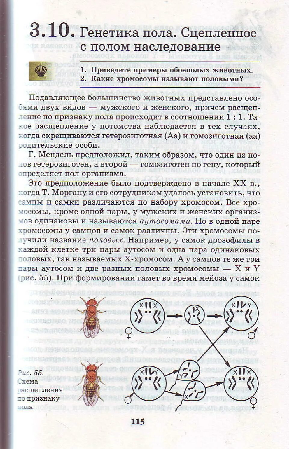 Биология 9 класс учебник Пасечник Каменский. Биология 9 класс учебник Пасечник Каменский Швецов. Биология 9 класс учебник Пасечник Каменский Криксунов. Биология 9 кл Пасечник учебник.