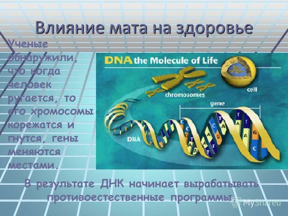 Как влияют слова на жизнь человека