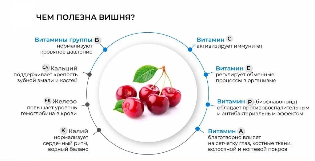 Какие витамины при давлении. Вишня полезные свойства. вишня витамины и полезные. польза и вред вишни для организма человека. чем полезна вишня для организма.