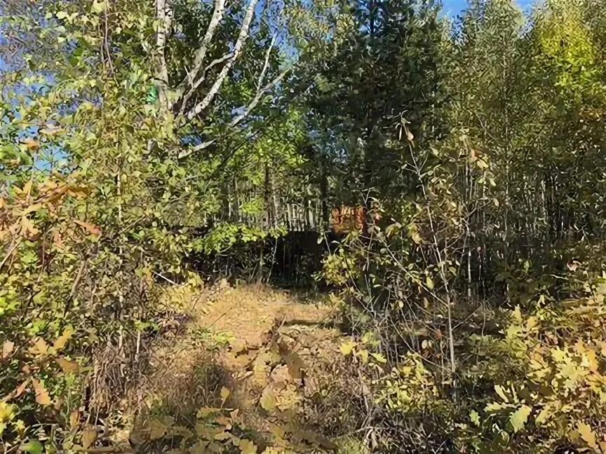 Погода в ланьшино серпуховского. Погода в ланьшино серпуховского