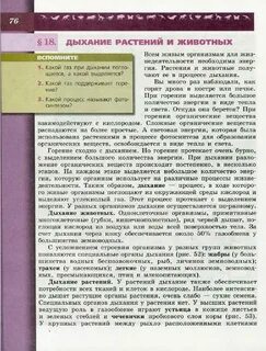 Важную роль в накоплении кислорода
