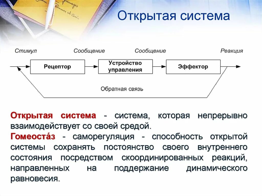 Система которая и стала основой. Открытая система (теория систем). Понятие открытой системы. Организм открытая система. Открытая система примеры.