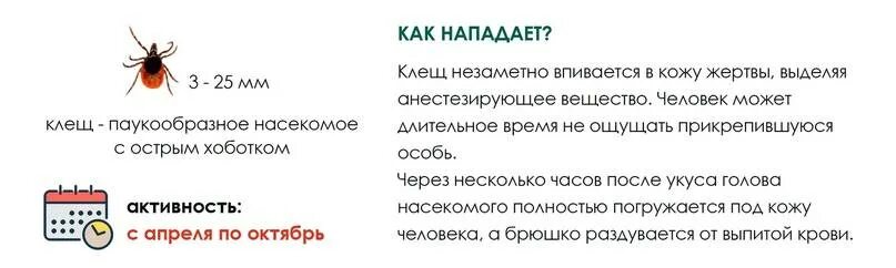 Заболевания передающиеся клещами