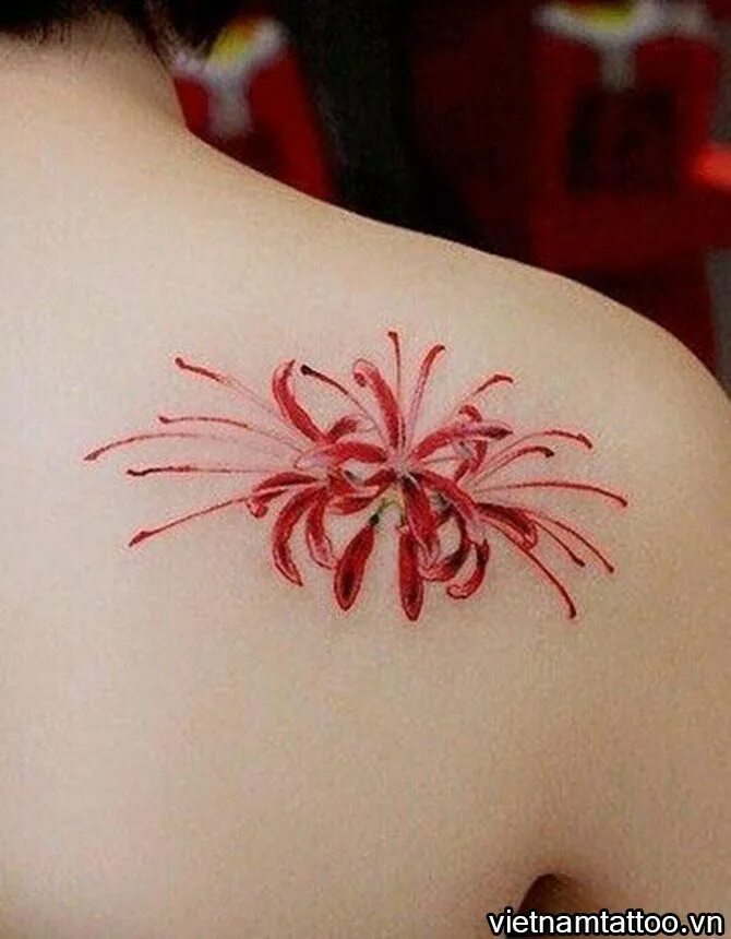 Хиганбана паучья лилия тату. Паучья лилия тату. Паучья лилия тату. Хиганбана ликорис тату. Ликорис паучья лилия тату.