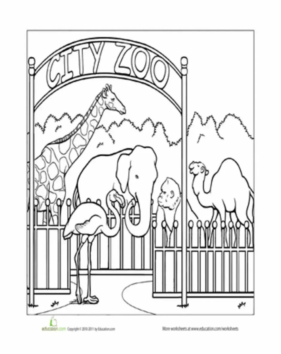 Рисуем животных зоопарка. Зоопарк раскраска для детей. Московский зоопарк раскраска. Рисунки животных зоопарка для детей. Рисование зоопарк.