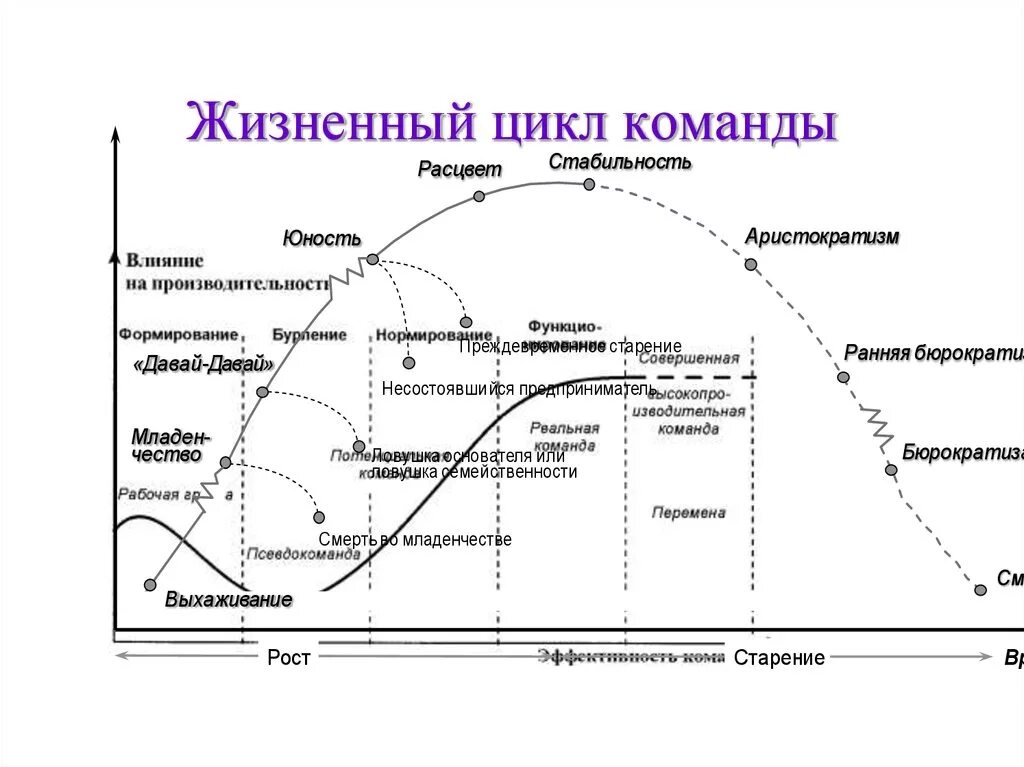 Этапы жизненного цикла команды. Стадиями жизненного цикла команды проекта являются:. Фазы (стадии) жизненного цикла проекта и команды.. Фазы жизненного цикла команды. Модель развития команды проекта