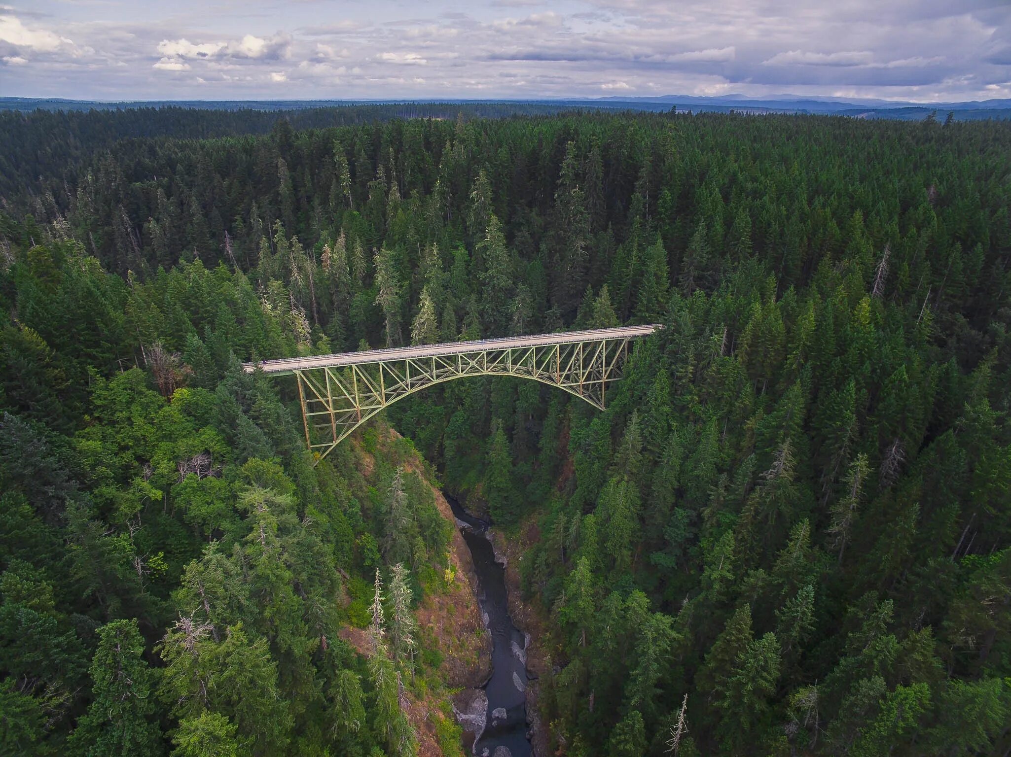Forest gap