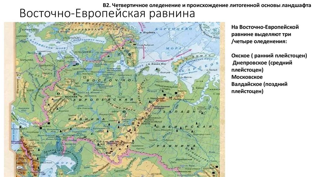 Восточно европейская равнина в каком направлении происходит. Низменности Восточно европейской равнины на карте. Рельеф Восточно европейской равнины на карте России. Центр Восточно европейской равнины. Восточно европейская равнина карта атлас.