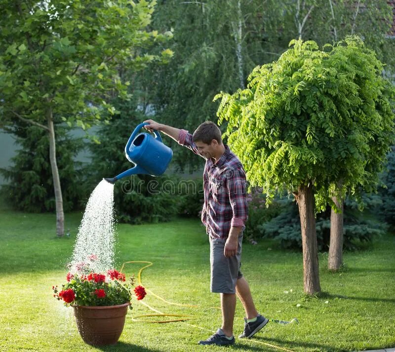 We were watering the plants. The man watering the Flowers. Watering Flower man mem. Man watering from a Bucket. I am watering Plants картинки.